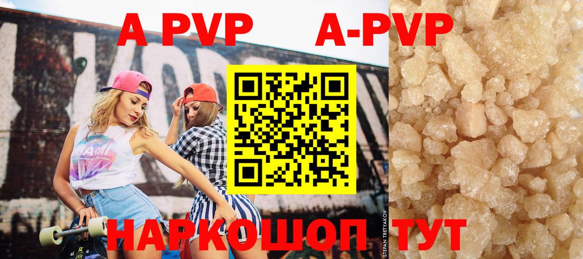 Alfa_PVP СК Грозный