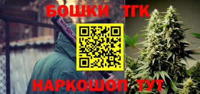 индика Балахна