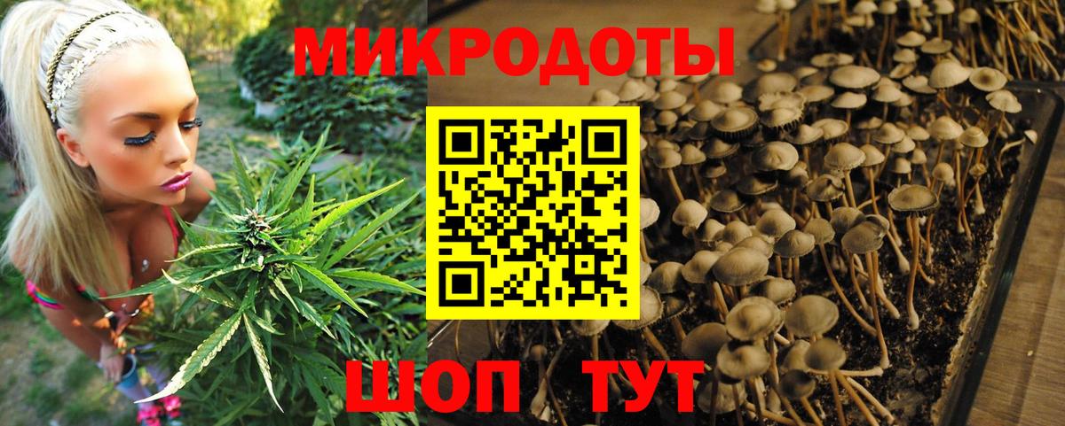 Псилоцибиновые грибы MAGIC MUSHROOMS Грозный