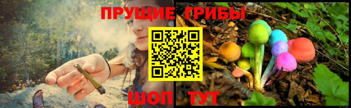 Псилоцибиновые грибы Cubensis  Псилоцибиновые грибы Psilocybe  Грозный  Вход с VPN 