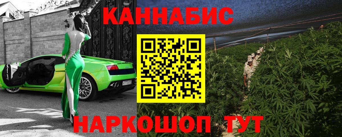 Грозный  Канабис сатива  Вход с VPN  Конопля Bruce Banner 